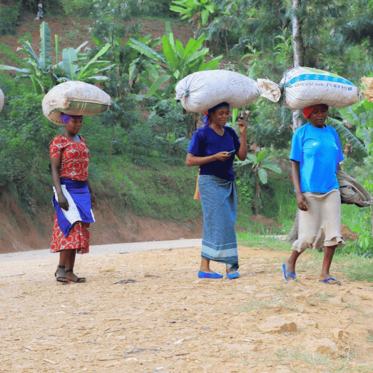Nomad Coffee Rwanda Women's Crown 1 kg | CoffeeLove