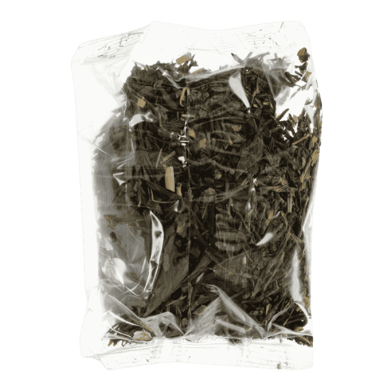 Moomin Green Little My Lemon Tin | CoffeeLove