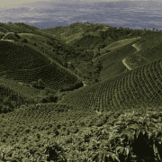 Gardelli Peru Efrain omniroast 250 g | CoffeeLove