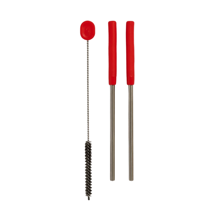 Hydro Flask Stainless Steel Straw Set Goji | CoffeeLove