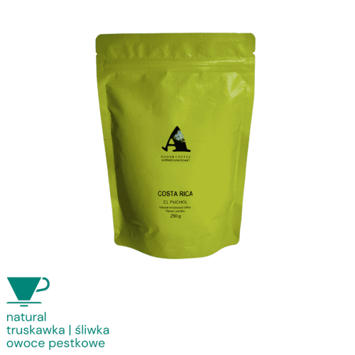 Audun Kostaryka El Puchol 250 g | CoffeeLove