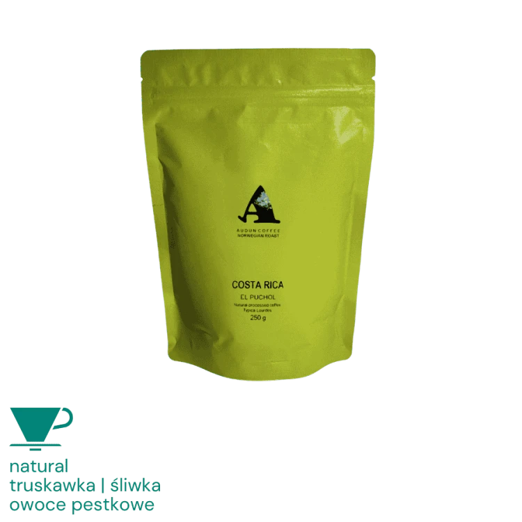 Audun Kostaryka El Puchol 250 g | CoffeeLove