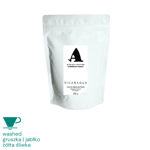 Audun Nikaragua Gold Mountain 250 g filter | CoffeeLove