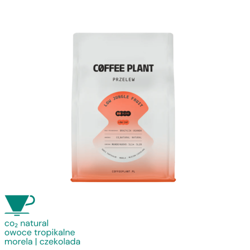 Coffee Plant LOW Jungle Fruit filter 250 g