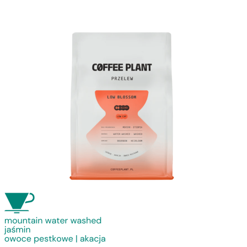 Coffee Plant LOW Blossom filter 250 g | CoffeeLove