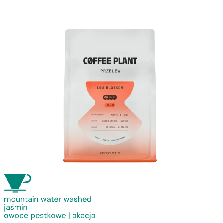 Coffee Plant LOW Blossom filter 250 g | CoffeeLove