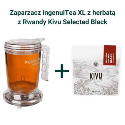 IngenuiTea XL zaparzacz do herbaty z sitkiem 850 ml + Kivu Select Organic Black Orthodox Tea herbata czarna sypana 100g