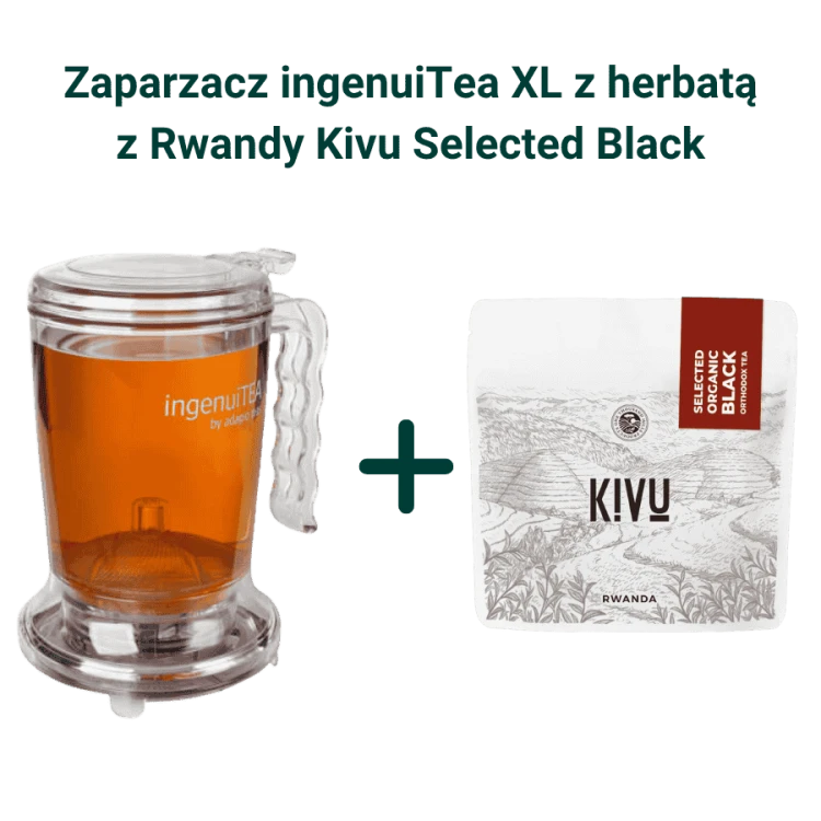 IngenuiTea XL zaparzacz do herbaty z sitkiem 850 ml + Kivu Select Organic Black Orthodox Tea herbata czarna sypana 100g