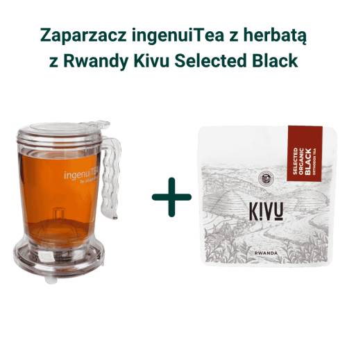 IngenuiTea zaparzacz do herbaty z sitkiem 450 ml + Kivu Select Organic Black Orthodox Tea herbata czarna sypana 100g