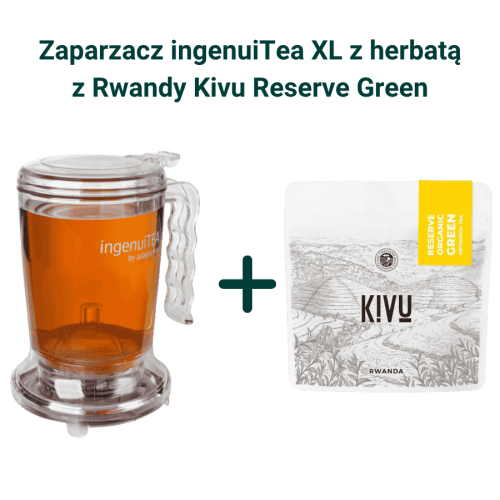 IngenuiTea XL zaparzacz do herbaty z sitkiem 850 ml + Kivu Reserve Organic Green Orthodox Tea herbata zielona sypana 100g