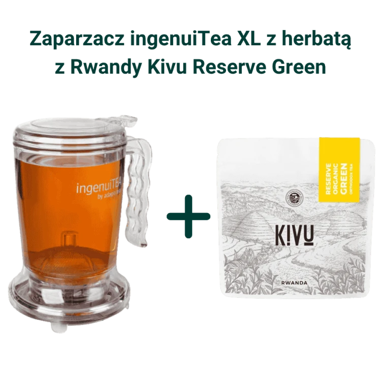 IngenuiTea XL zaparzacz do herbaty z sitkiem 850 ml + Kivu Reserve Organic Green Orthodox Tea herbata zielona sypana 100g