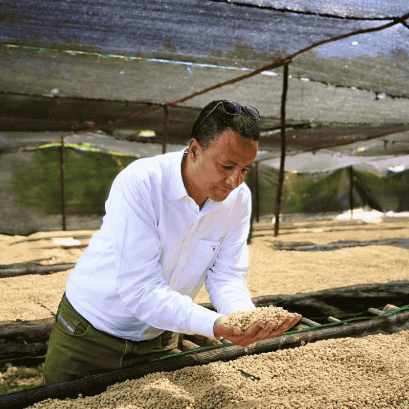 The Barn Etiopia Bishan Wate omniroast 250 g | CoffeeLove