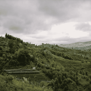 The Barn Burundi Bumba Hill filter 250 g | CoffeeLove