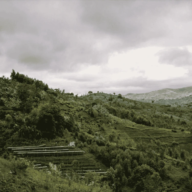 The Barn Burundi Bumba Hill filter 250 g | CoffeeLove