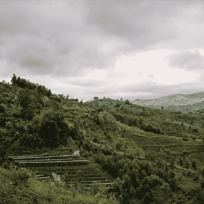 The Barn Burundi Bumba Hill filter 250 g | CoffeeLove