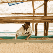 The Barn Burundi Bumba Hill filter 250 g | CoffeeLove