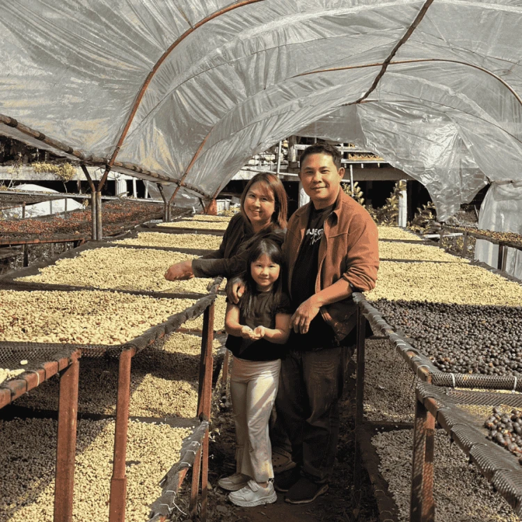 The Barn Tailandia Doi Saket filter 250 g | CoffeeLove