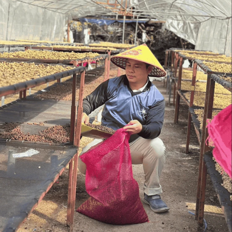 The Barn Tailandia Doi Saket filter 250 g | CoffeeLove