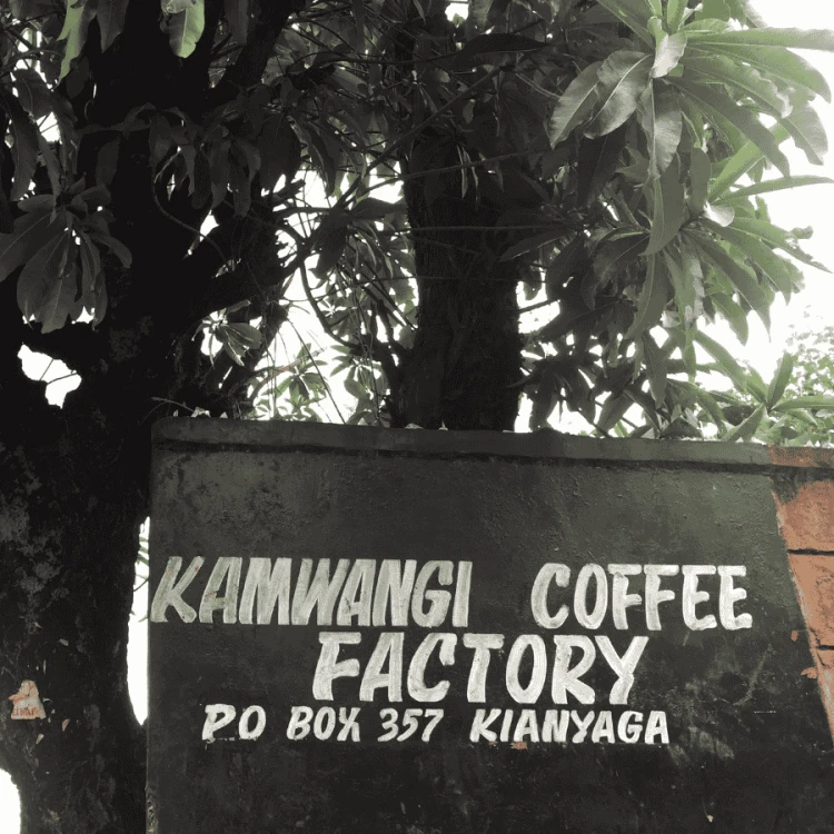 The Barn Kenia Kamwangi AB filter 250 g | CoffeeLove