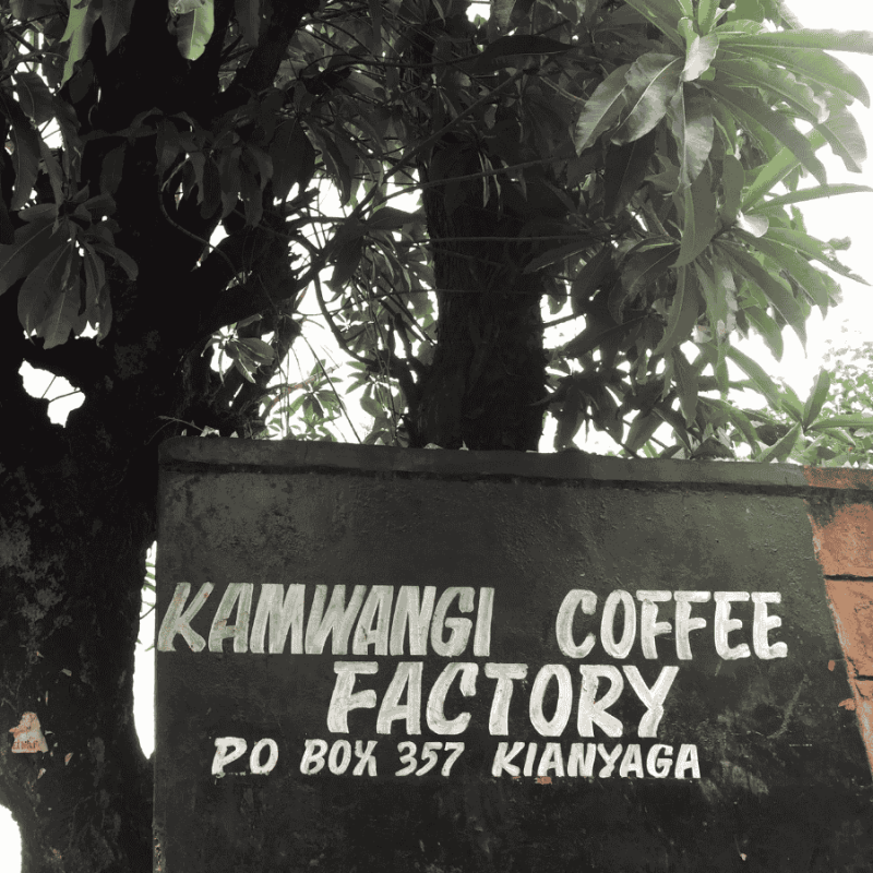 The Barn Kenia Kamwangi AB filter 250 g | CoffeeLove