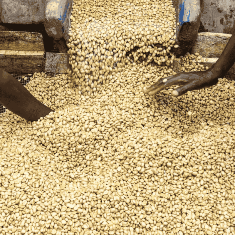 The Barn Kenia Kamwangi AB filter 250 g | CoffeeLove
