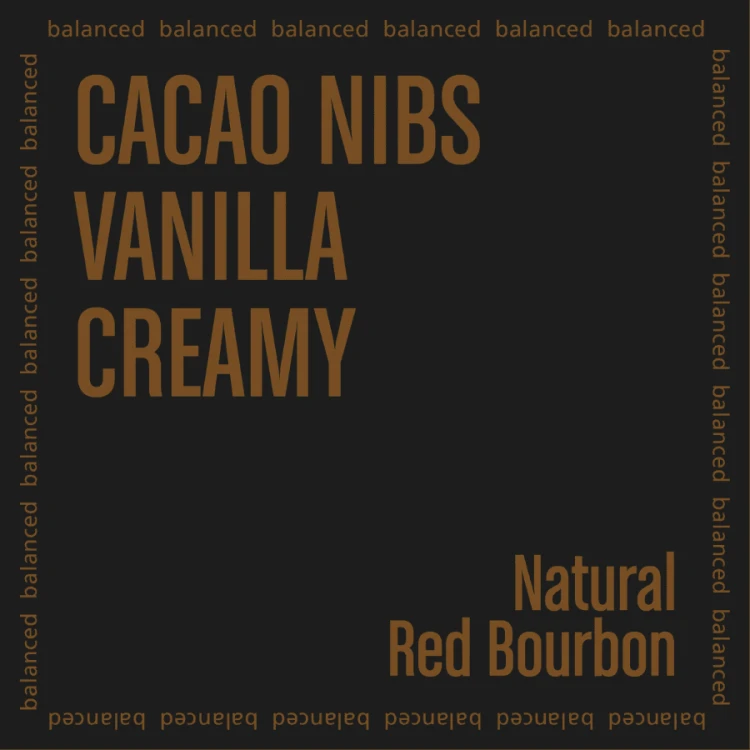The Barn Brazylia Ivan Dos Santos 1 kg | CoffeeLove