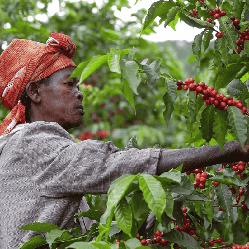 Muraho! Rwanda Chocolaty espresso 250 g | CoffeeLove