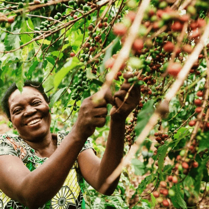 Muraho! Rwanda Chocolaty espresso 250 g | CoffeeLove