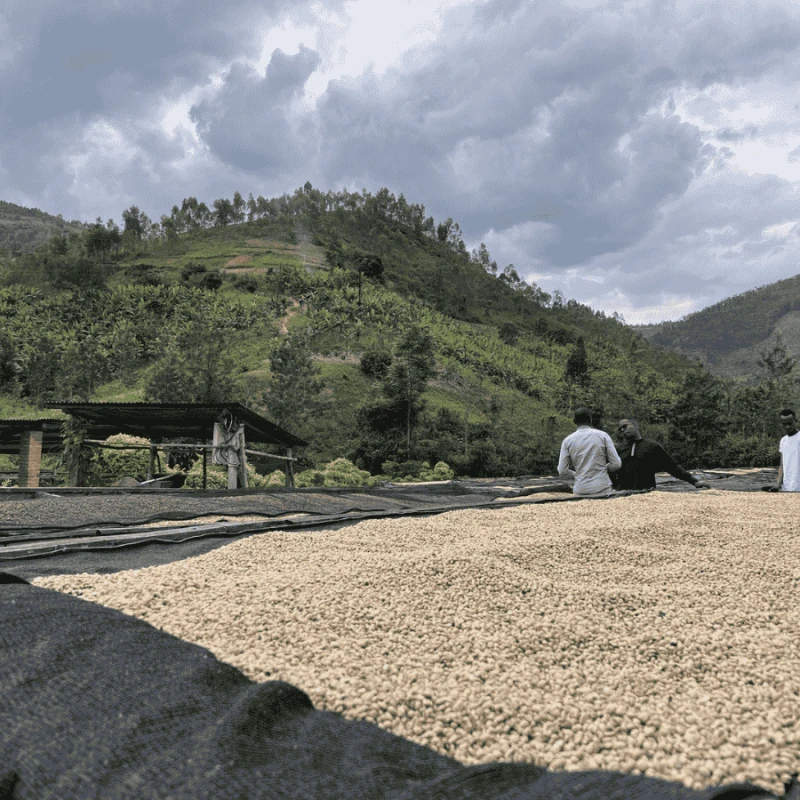 Muraho! Rwanda Chocolaty espresso 250 g | CoffeeLove