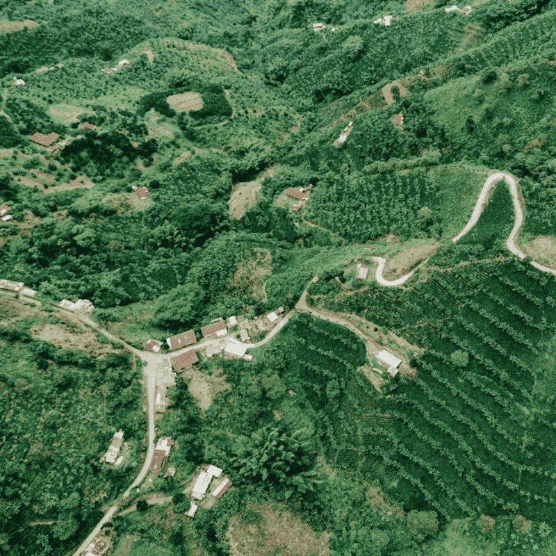 Father's Coffee Kolumbia Chapata filter 250 g | CoffeeLove