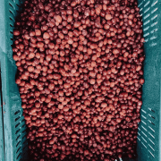 Father's Coffee Kolumbia Chapata filter 250 g | CoffeeLove