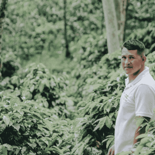 Father's Coffee Kolumbia El Silencio filter 250 g | CoffeeLove