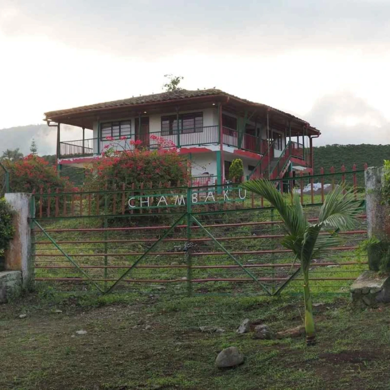 Nomad Coffee Kolumbia Chambaku Decaf 250 g | CoffeeLove