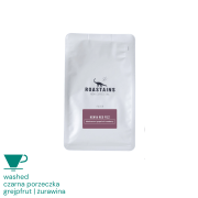 Roastains Kenia Red Fizz filter 250 g | CoffeeLove