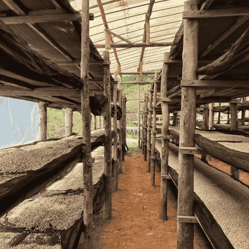 Muraho! Juicy filter 1 kg | CoffeeLove