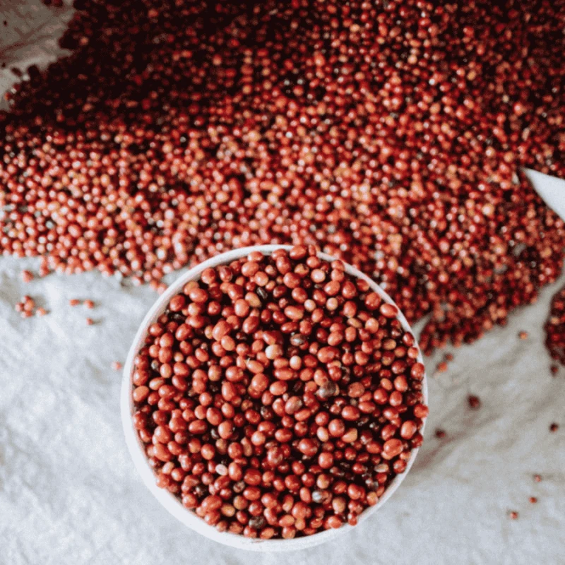 Gardelli Indonezja Kartika omniroast 250 g | CoffeeLove