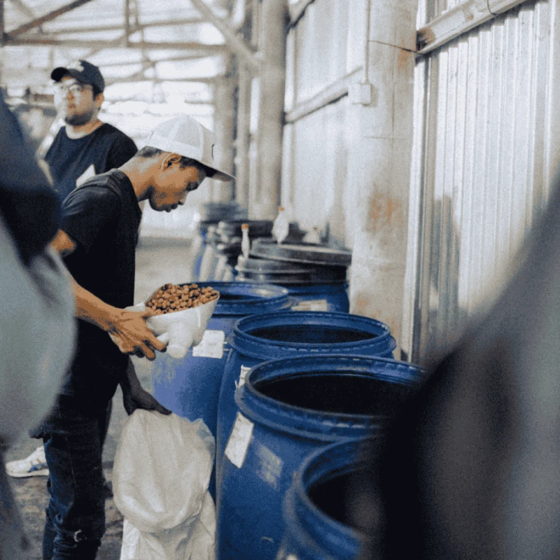 Gardelli Indonezja Kartika omniroast 250 g | CoffeeLove