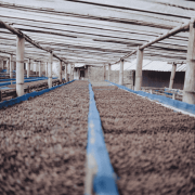 Gardelli Indonezja Kartika omniroast 250 g | CoffeeLove