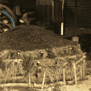 Nomad Coffee Peru Timbuyacu 250 g | CoffeeLove