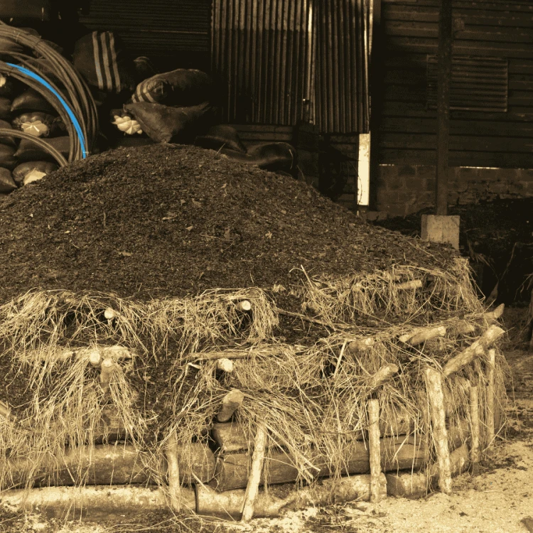 Nomad Coffee Peru Timbuyacu 250 g | CoffeeLove