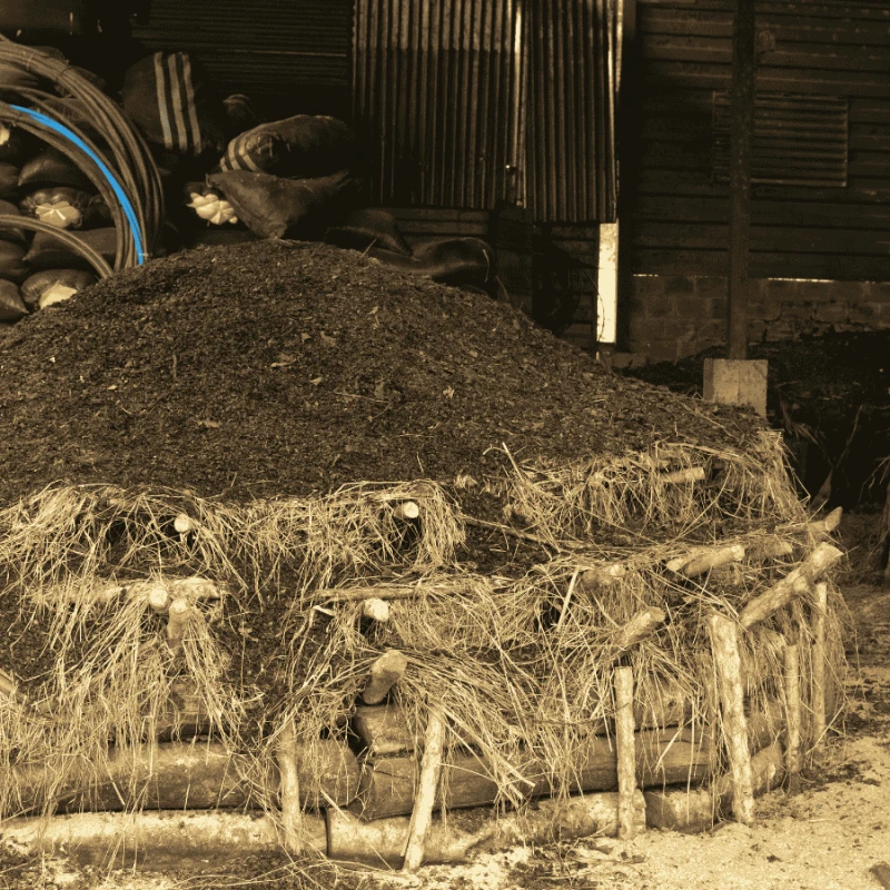 Nomad Coffee Peru Timbuyacu 250 g | CoffeeLove