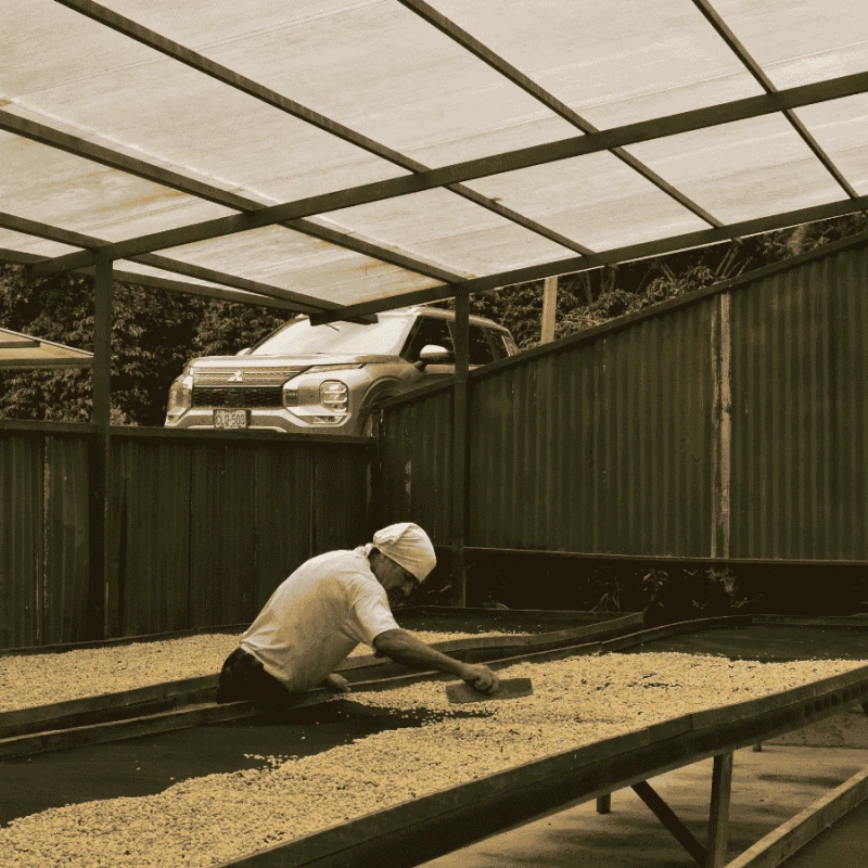 Nomad Coffee Peru Timbuyacu 250 g | CoffeeLove