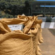 The Barn Salwador Los Pirineos Pacamara filter 250 g | CoffeeLove