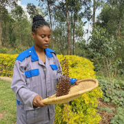 The Barn Rwanda Huye Mountain Natural omniroast 250 g | CoffeeLove