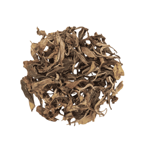 Terroir Morning Dew White Tea 30 g | CoffeeLove