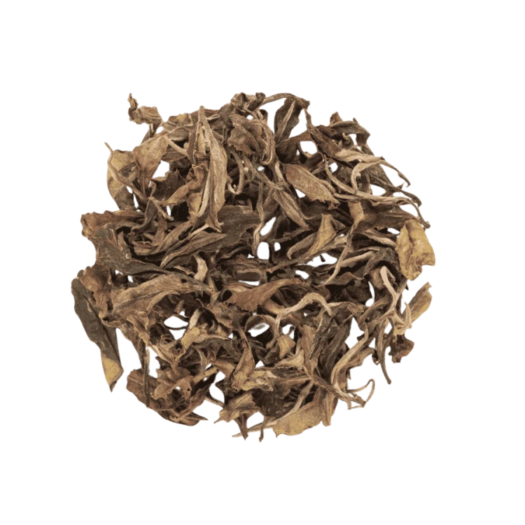 Terroir Morning Dew White Tea 30 g | CoffeeLove