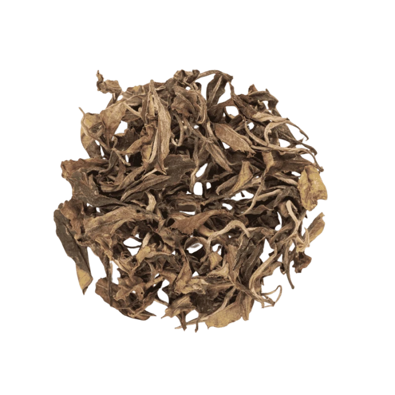 Terroir Morning Dew White Tea 30 g | CoffeeLove