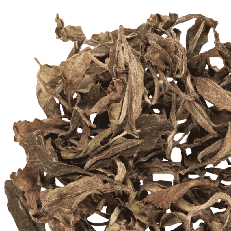 Terroir Morning Dew White Tea 30 g | CoffeeLove