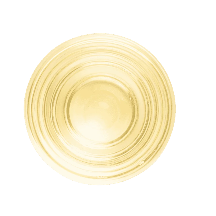 Terroir Morning Dew White Tea 30 g | CoffeeLove