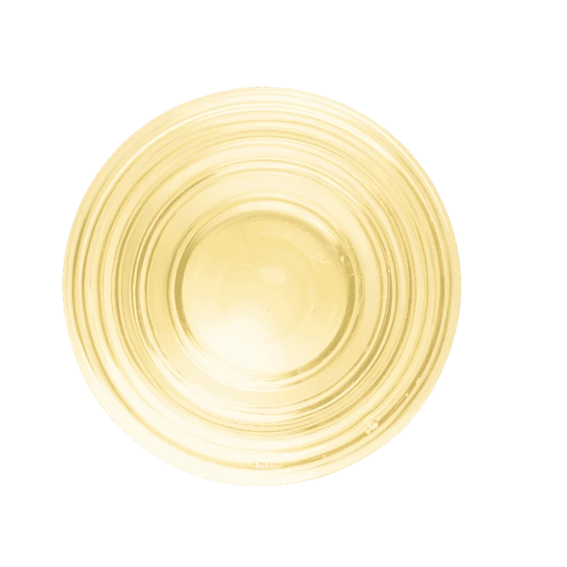 Terroir Morning Dew White Tea 30 g | CoffeeLove
